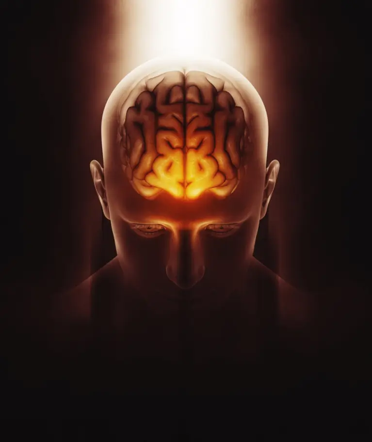 brain