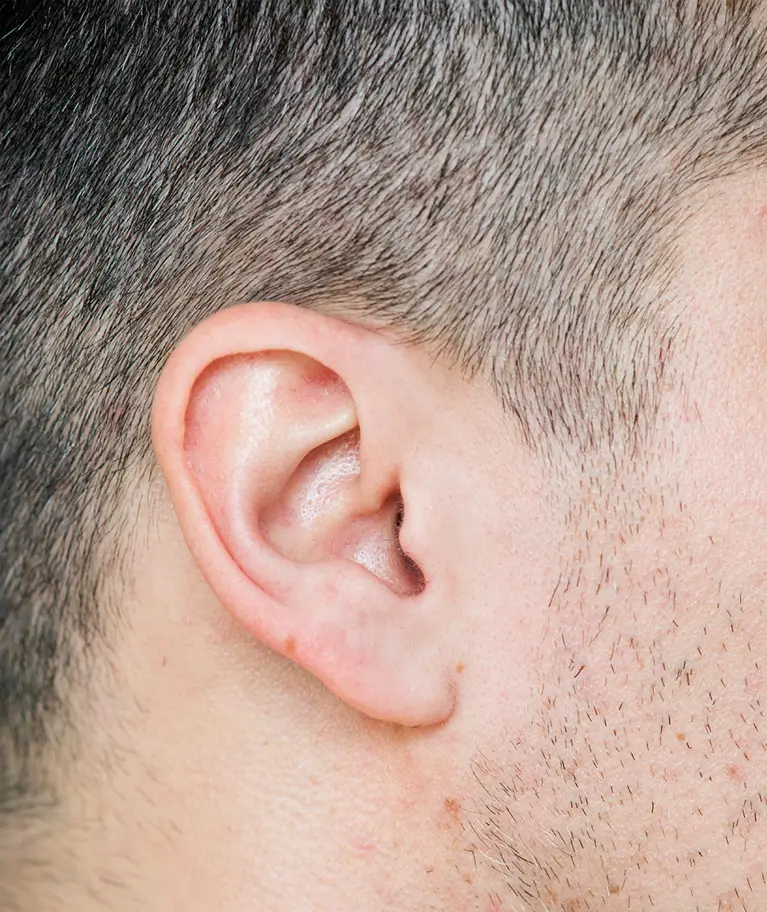 ear
