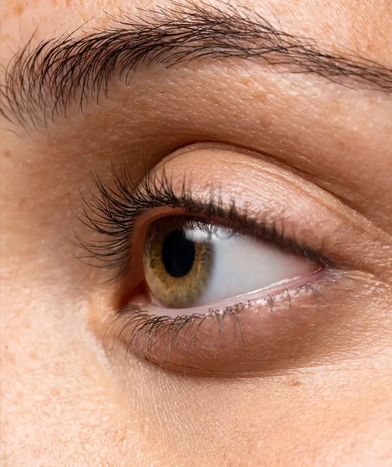 eye
