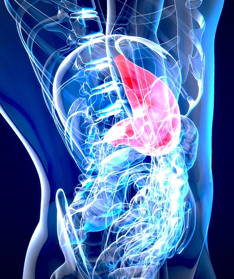 Pancreas